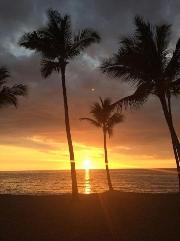 Newly Renovated Condo With Sup Paddle Boards And Golf Clubs Included Kailua-Kona Exterior photo