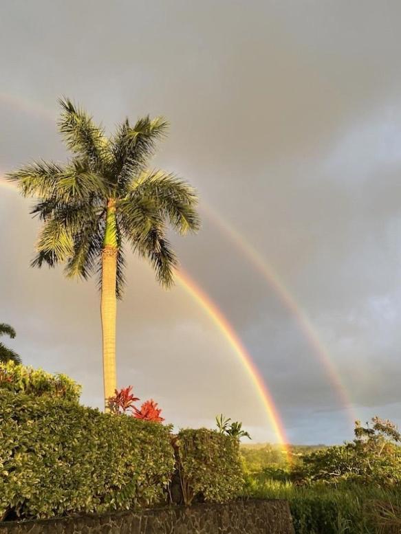 Newly Renovated Condo With Sup Paddle Boards And Golf Clubs Included Kailua-Kona Exterior photo